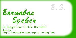 barnabas szeker business card